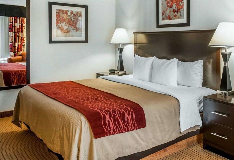 فندق Quality Inn & Suites Farmington