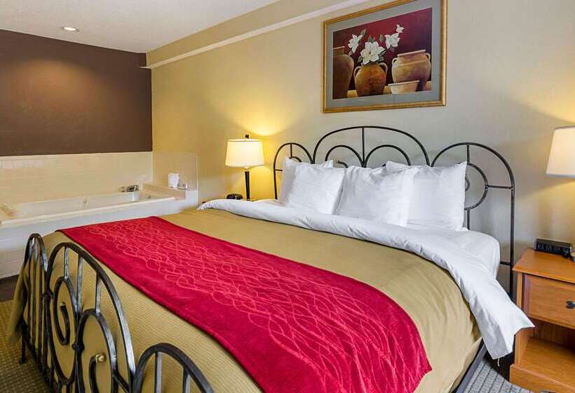 Отель Quality Suites Altavista   Lynchburg South