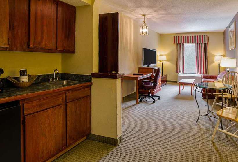 Отель Quality Suites Altavista   Lynchburg South