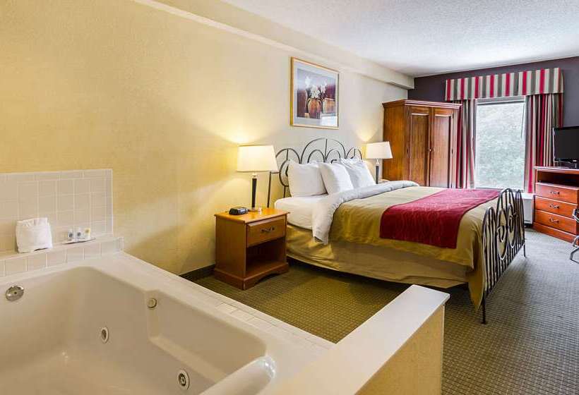 Отель Quality Suites Altavista   Lynchburg South