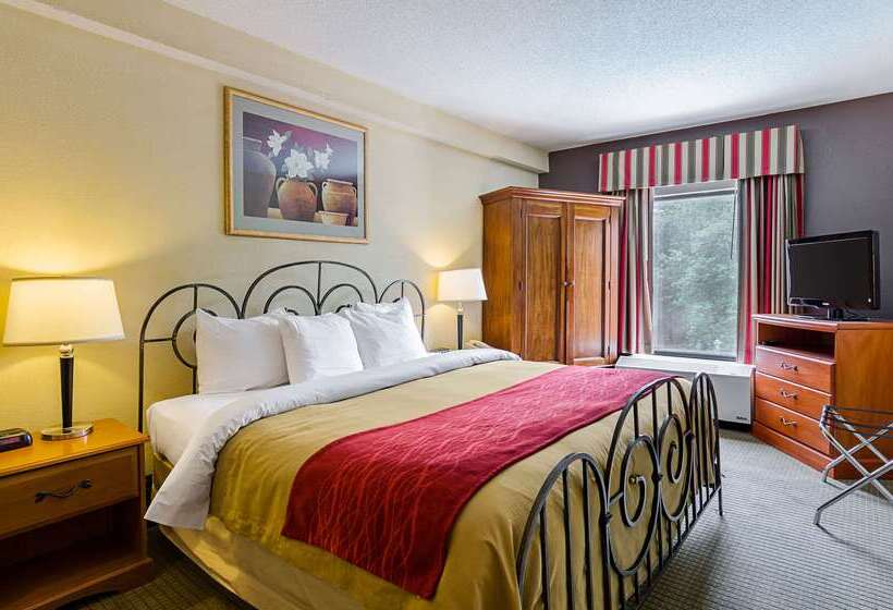 Отель Quality Suites Altavista Lynchburg South