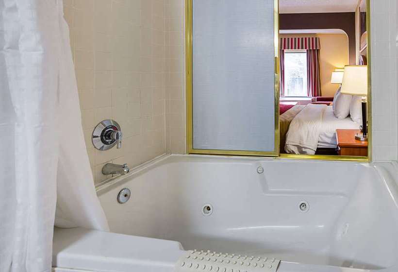 Отель Quality Suites Altavista   Lynchburg South