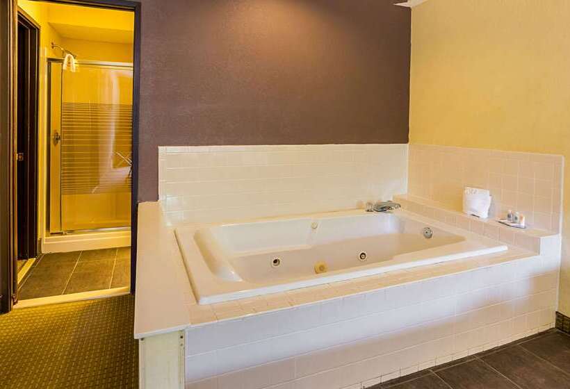 Отель Quality Suites Altavista   Lynchburg South