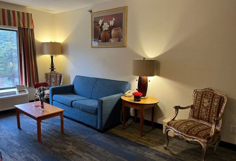 Отель Quality Suites Altavista   Lynchburg South