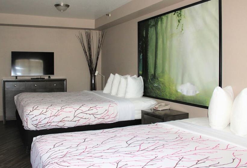 فندق Rancho San Diego Inn & Suites