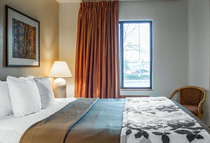 Отель Rodeway Inn Airport