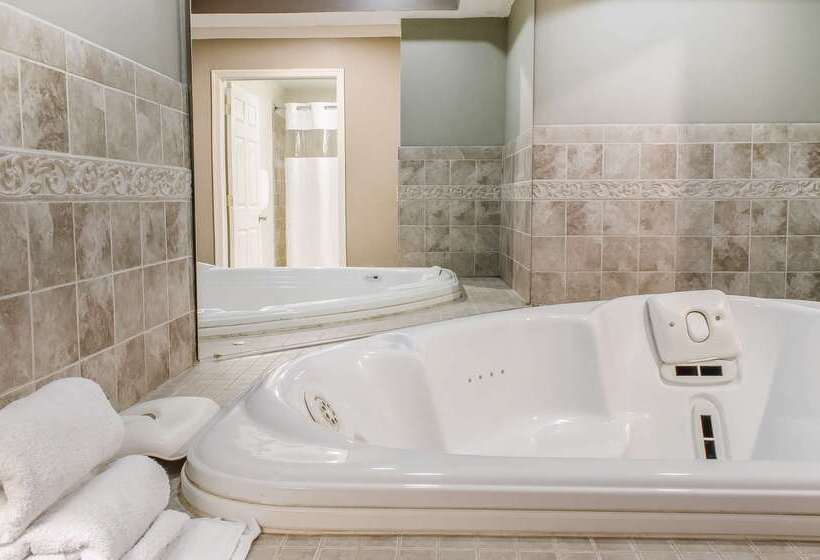 Отель Rodeway Inn