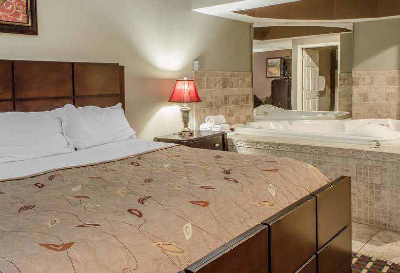 Отель Rodeway Inn