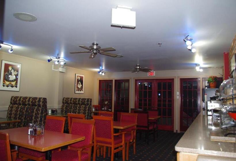 בית מלון כפרי South Hill Lodge