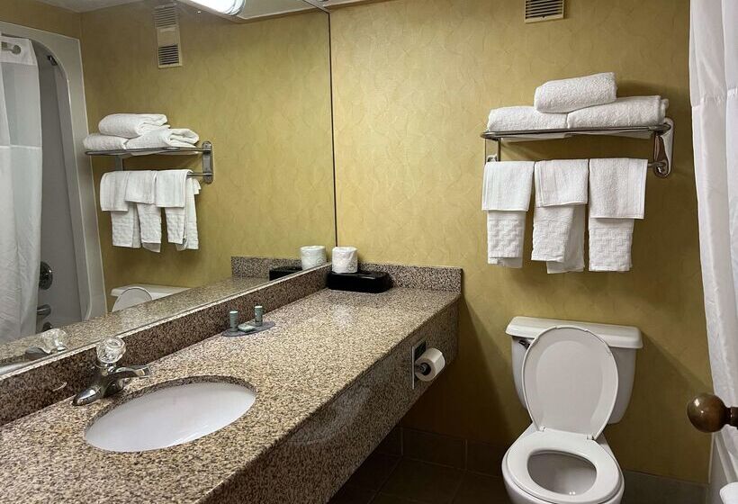 酒店 Best Western Hopkinsville Ky   Brand News