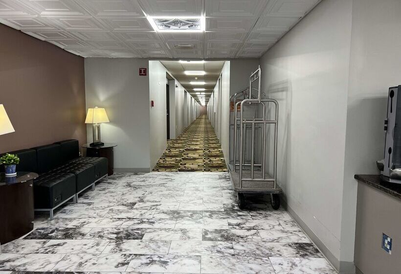 酒店 Best Western Hopkinsville Ky   Brand News