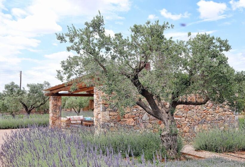 בית מלון כפרי The Margi