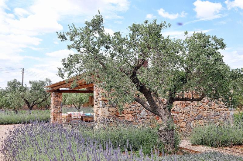 בית מלון כפרי The Margi