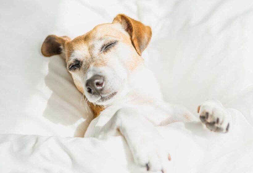 فندق Woodspring Suites Harlingen