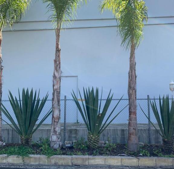 モーテル Sandyland Reef Inn