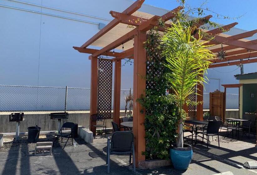 モーテル Sandyland Reef Inn