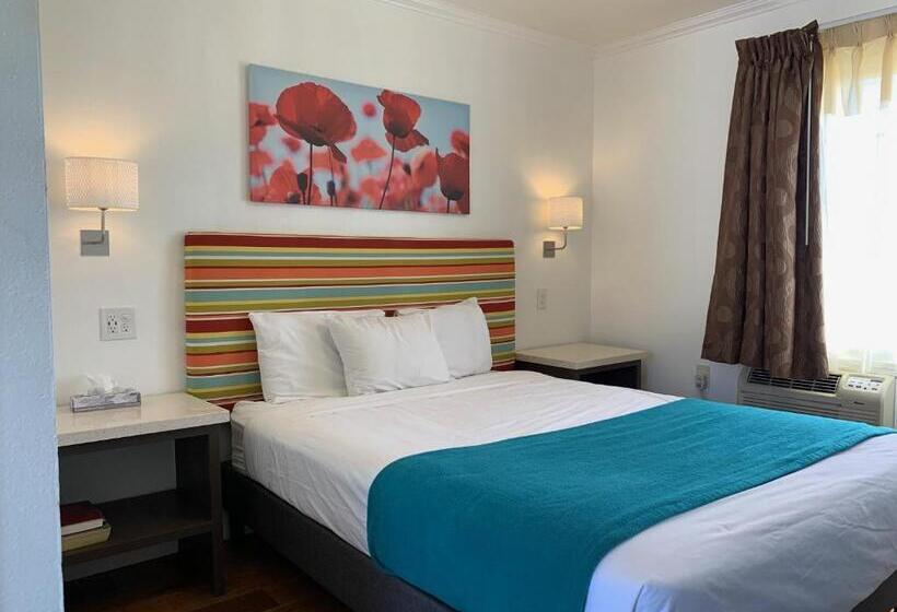 モーテル Sandyland Reef Inn