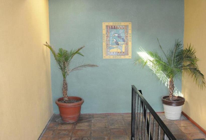 モーテル Sandyland Reef Inn