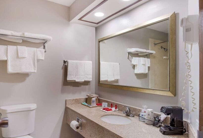 Surestay Plus Hotel By Best Western Greenwood