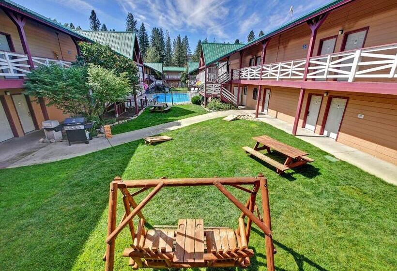فندق Abbycreek Inn