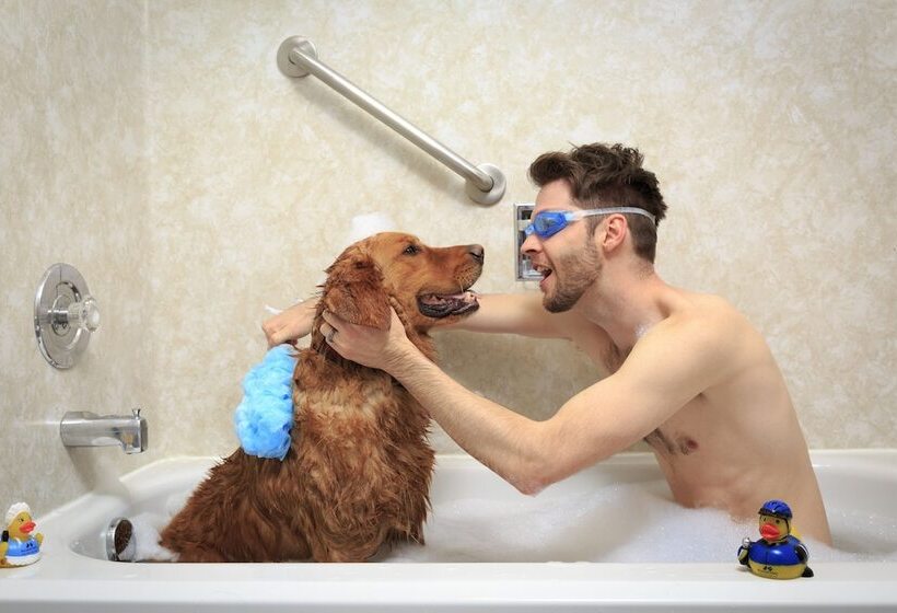 호텔 Accent Inns Kelowna