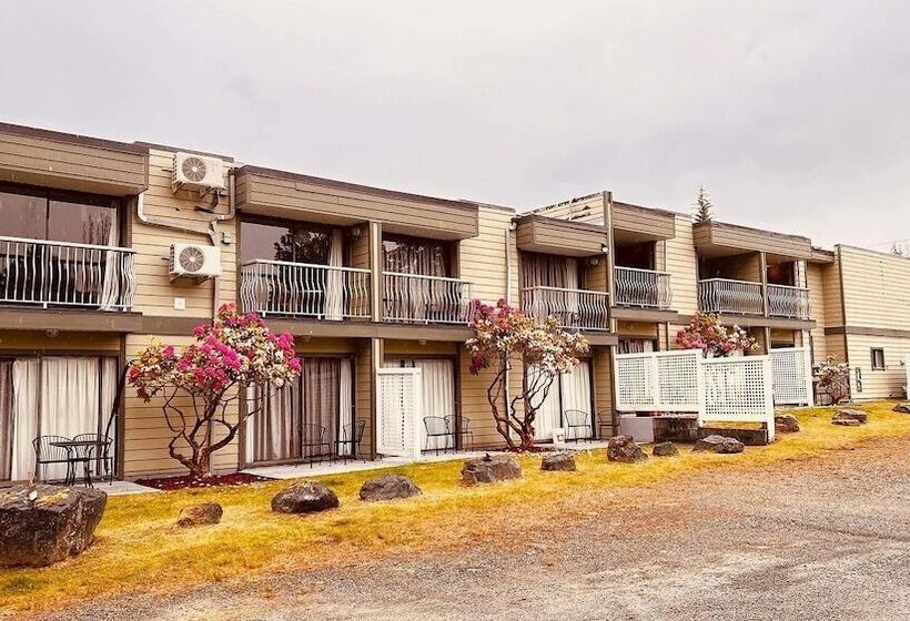 בית מלון כפרי Airport Inn