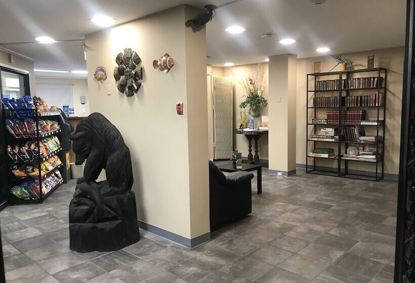 בית מלון כפרי Airport Inn