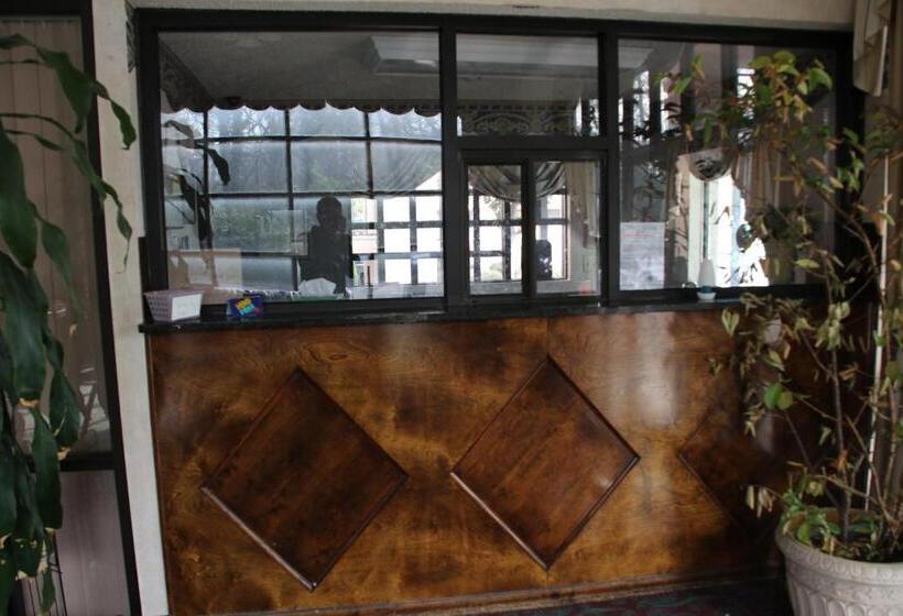 בית מלון כפרי American Inn Of Selma