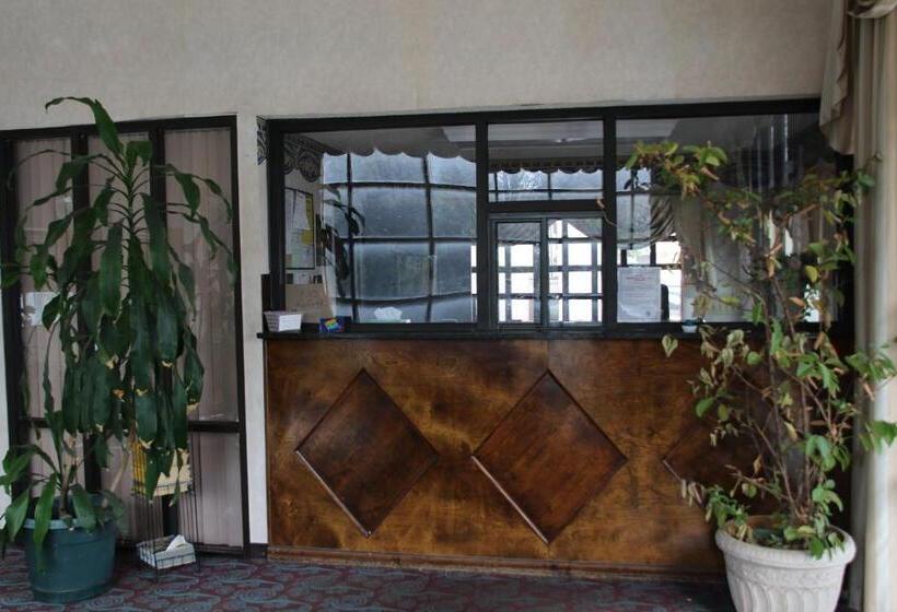 בית מלון כפרי American Inn Of Selma