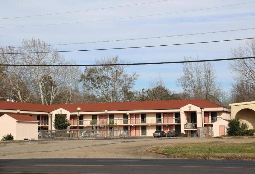 בית מלון כפרי American Inn Of Selma