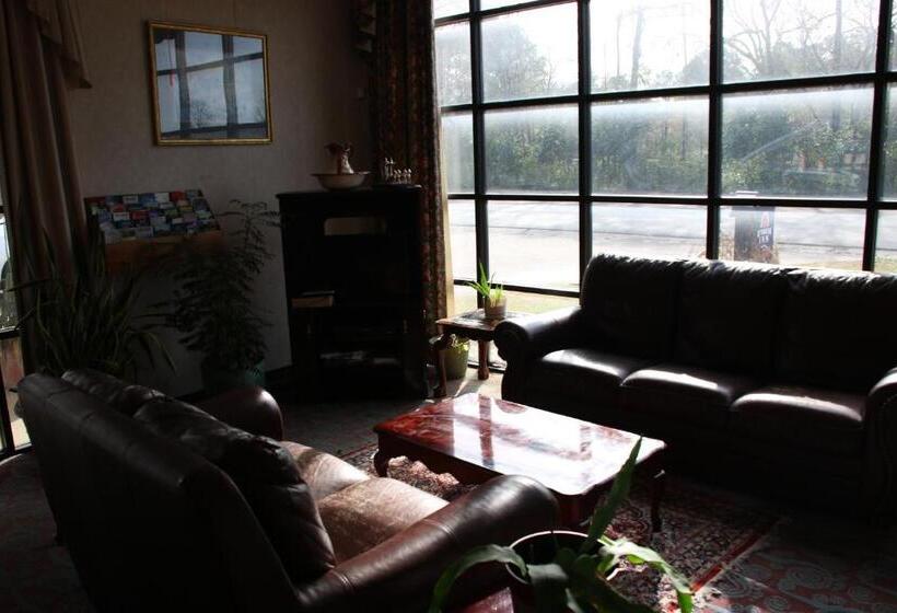 בית מלון כפרי American Inn Of Selma