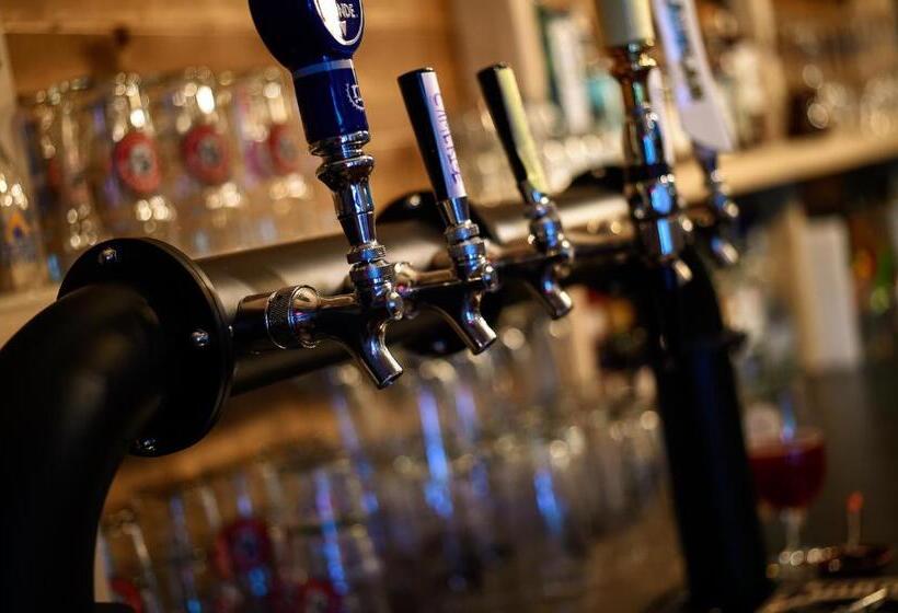 호텔 Auberge De Jeunesse Le Camp De Base