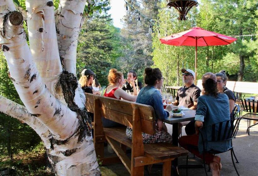 호텔 Auberge De Jeunesse Le Camp De Base