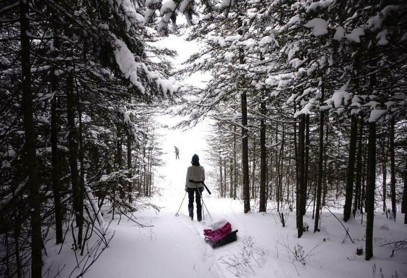 호텔 Auberge Jeunesse Rose Des Vents