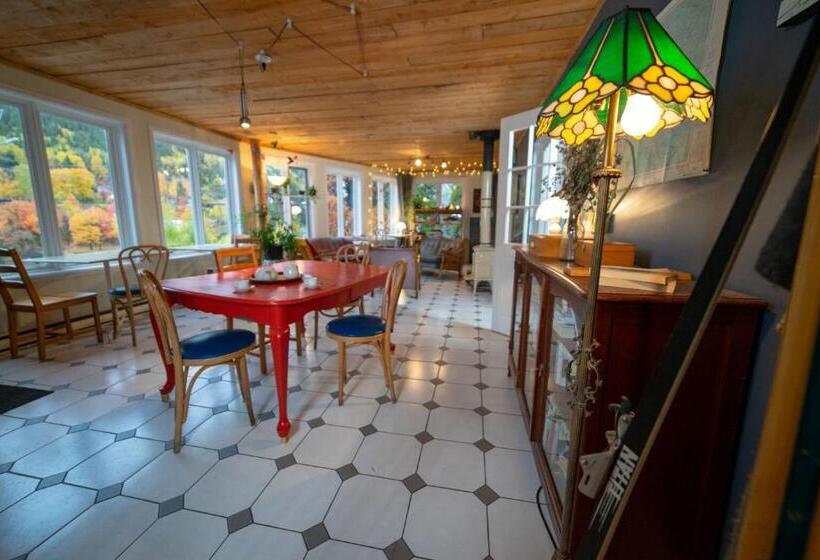 호텔 Auberge Jeunesse Rose Des Vents