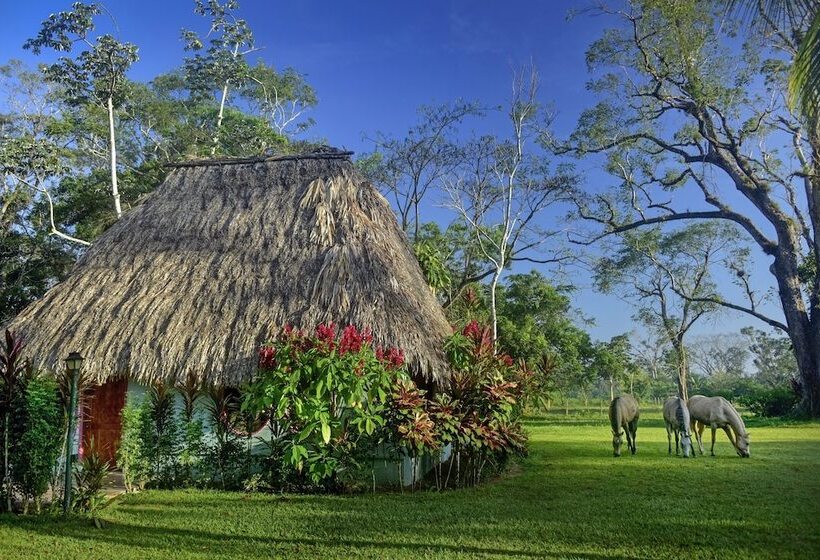 فندق Banana Bank Lodge & Jungle Horseback Adventures