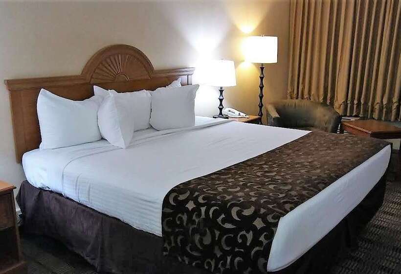 酒店 Baymont By Wyndham Lynchburg