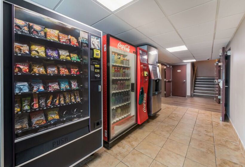 فندق Baymont By Wyndham Westampton