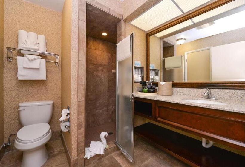 فندق Best Western Coral Hills