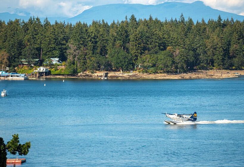 בית מלון כפרי Best Western Dorchester