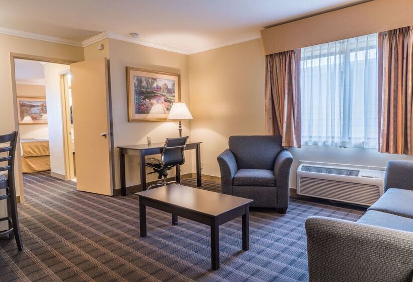 호텔 Best Western Inn & Suites