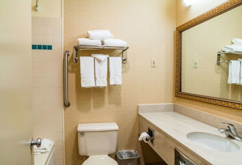 호텔 Best Western Inn & Suites