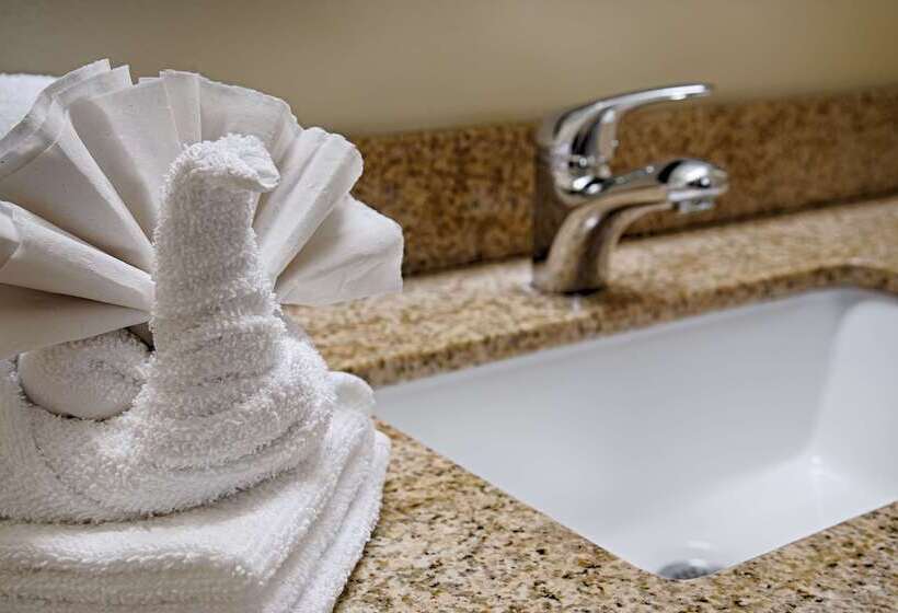 בית מלון כפרי Best Western Marina State Beach