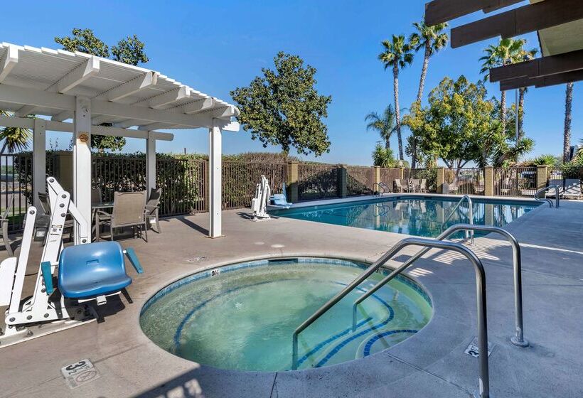 فندق Best Western Orchard Inn