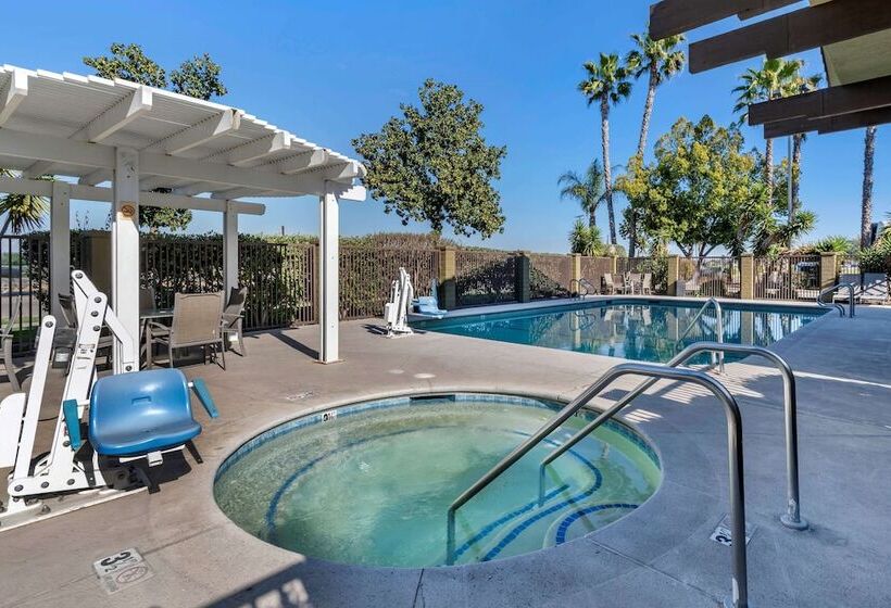 فندق Best Western Orchard Inn