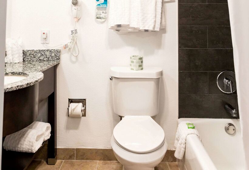 בית מלון כפרי Best Western Palm Beach Lakes