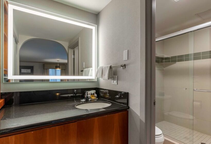 호텔 Best Western Plus Executive Suites