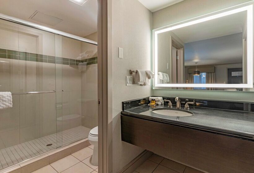 호텔 Best Western Plus Executive Suites