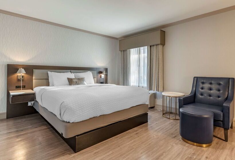 호텔 Best Western Plus Executive Suites