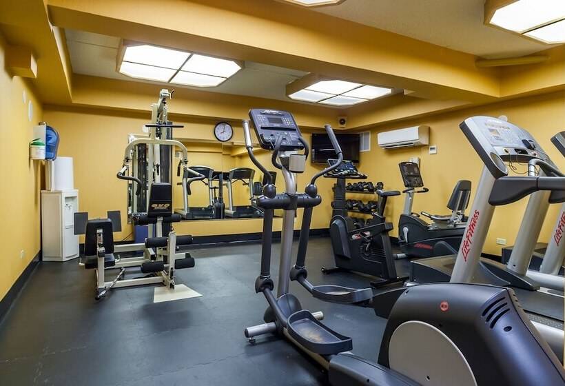 בית מלון כפרי Best Western Plus Suites Downtown Calgary